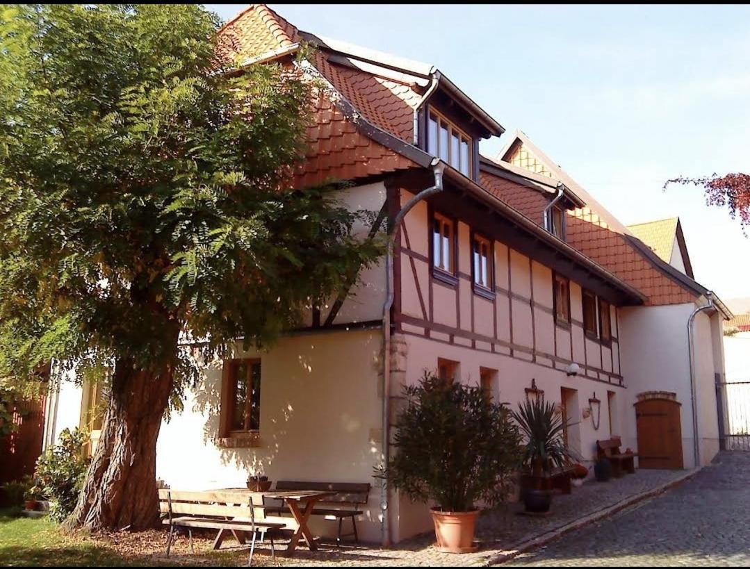 Pension Robinienhof Schadeleben ภายนอก รูปภาพ